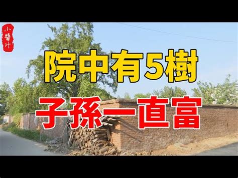 家裡種樹|種樹改運：實用風水術